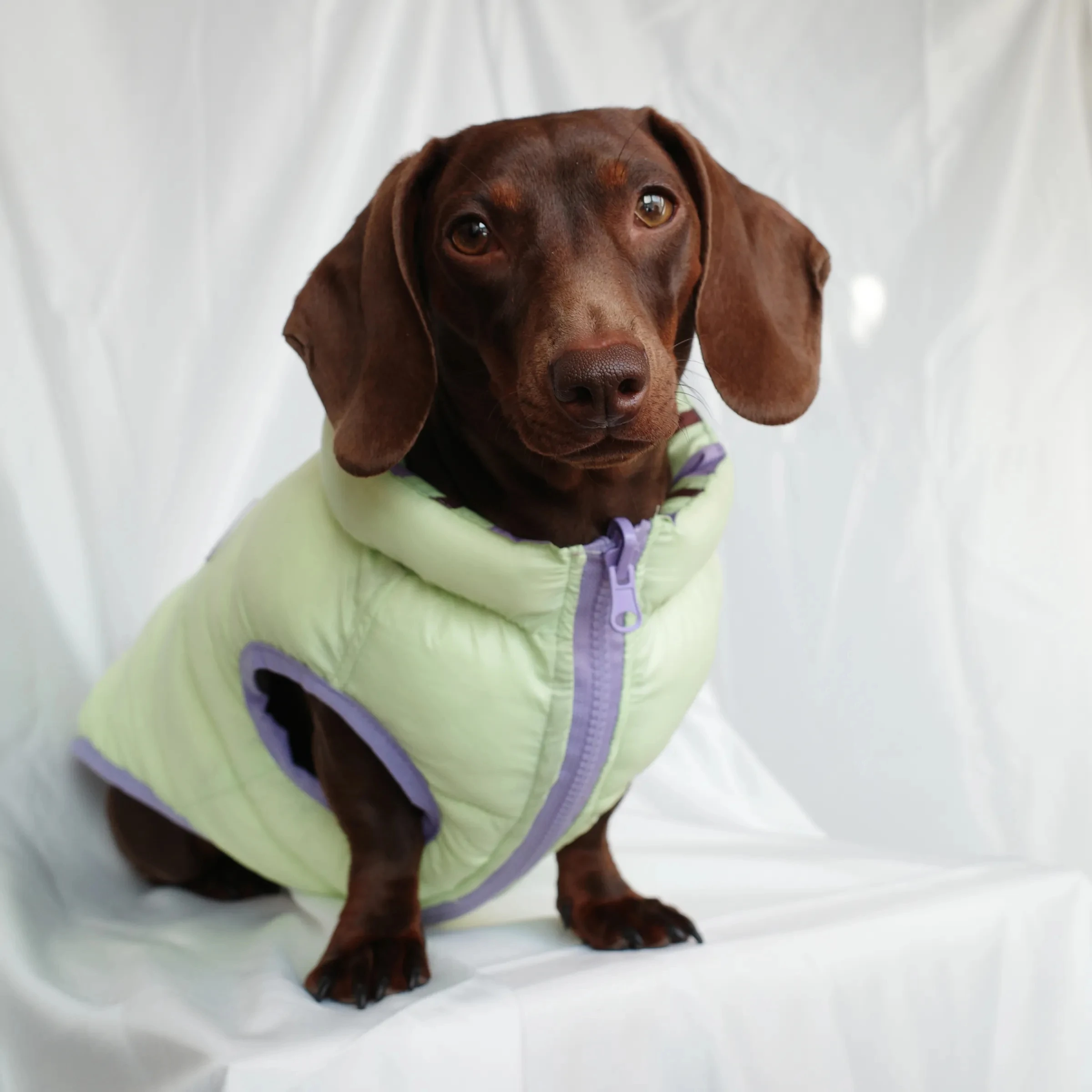 Winter-Daunenjacke für Dachshunde, dicke Weste für Wiener Hunde bei kaltem Wetter, leichter, warmer, ärmelloser Mantel für Dackelhunde – Detail 3