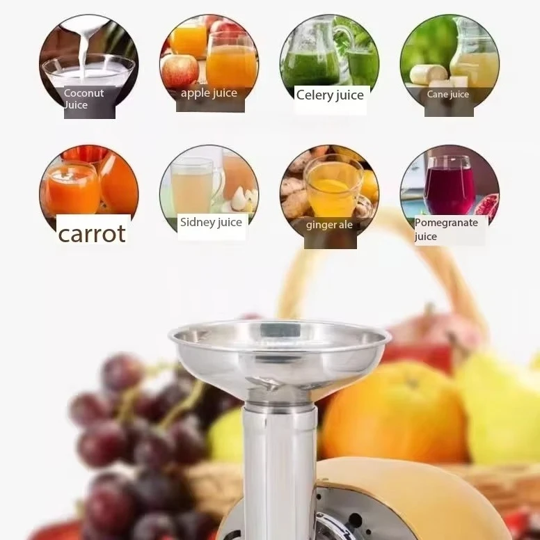 Cold Press Juicer Extractor Machine/ Low Noise Automatic Vegetable Juicer Machine