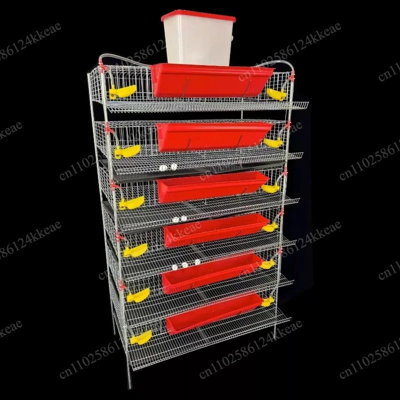 Can Automatically Clear Manure Feeding Drinking Water Quail Egg Production Cage Vertical Quail Cage