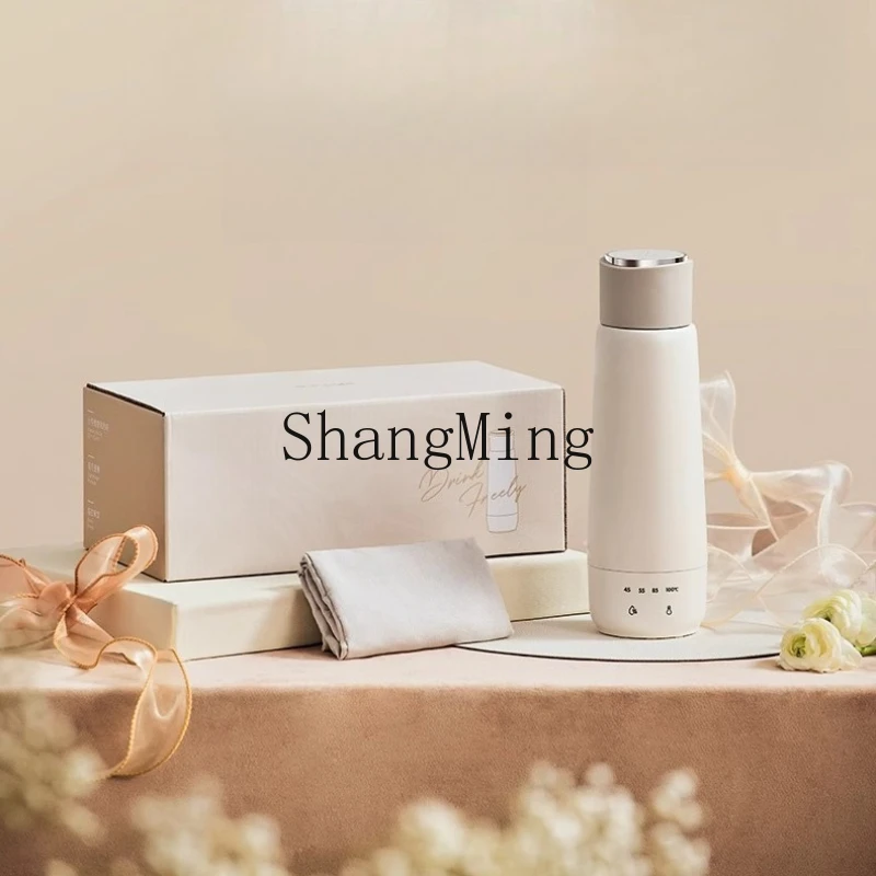 

ZYY Portable Kettle Constant Temperature Integrated Small Travel Electric Kettle Stainless Steel