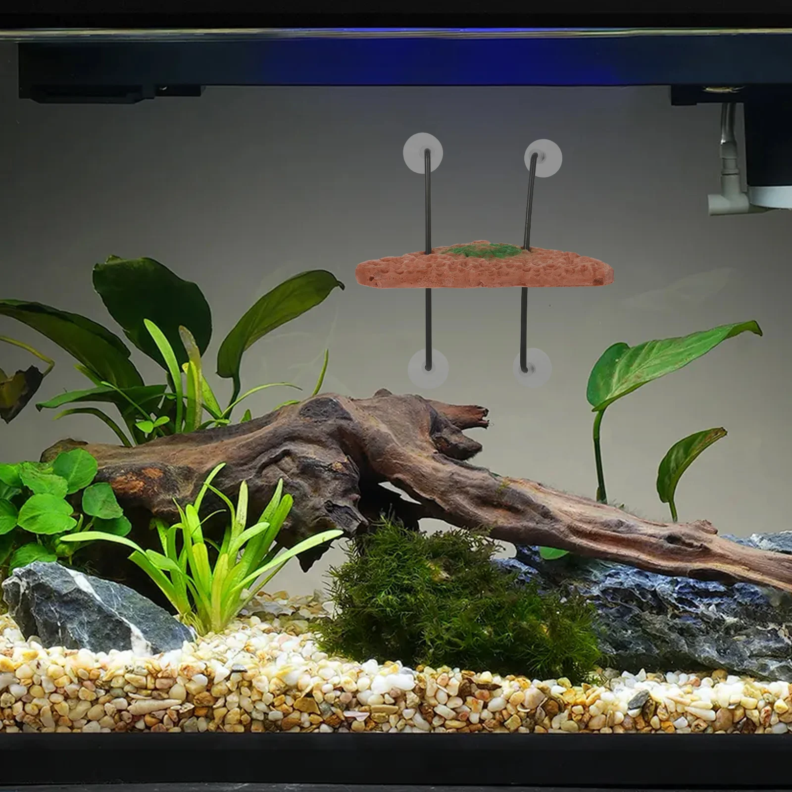 

Turtle Floating Terrace Aquarium Platform Fish Tank Floating Island Pet Terrace Bask Platform Non-Polluting Aquarium Decor