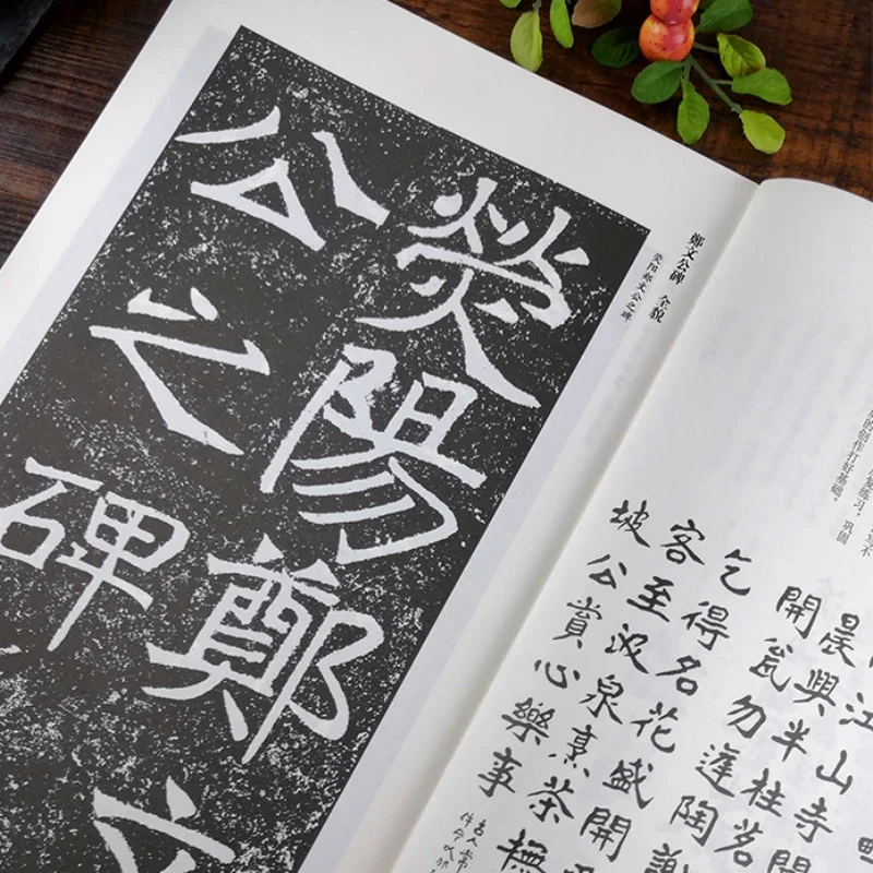 Chinese Calligraphy Basic Stroke Brush Copybook Seal Script Original Inscription Copybook Structure Caligrafia Tutorial Copybook