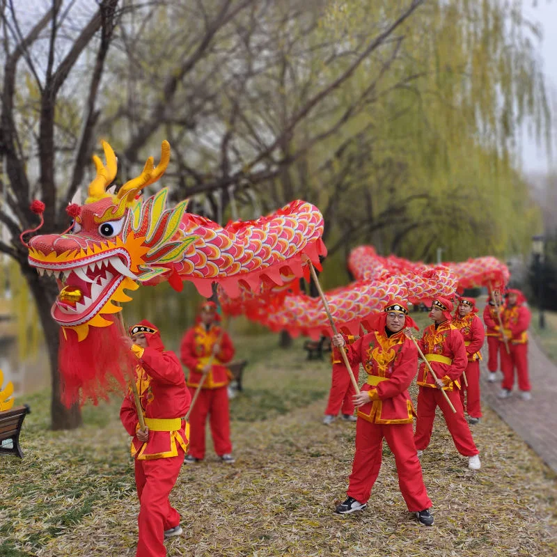 Volwassen 14 m Drakendanskostuum Bahclud Pole Zijde 8 Spelers maat 4 Buiten Chinees Nieuwjaar Spel Sport Speelgoed Evenement Festival