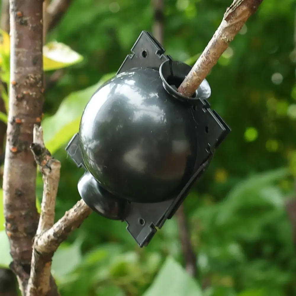 

3Pcs Fast Propagation Grafting Rooting Box Safety Locks Plant Root Device Rooting Propagation Ball Hydroponics Plastic