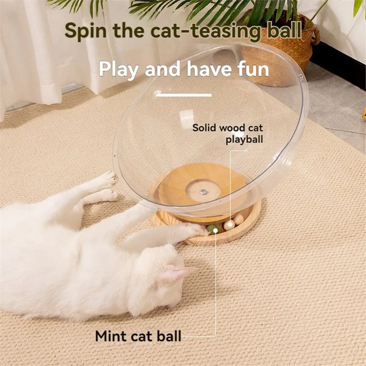Space Capsule Cat Bed Indoor Cats Pet Supplies Seasons Universal Easy Cleaning Kitten Nest Transparnt for Kitten Cats