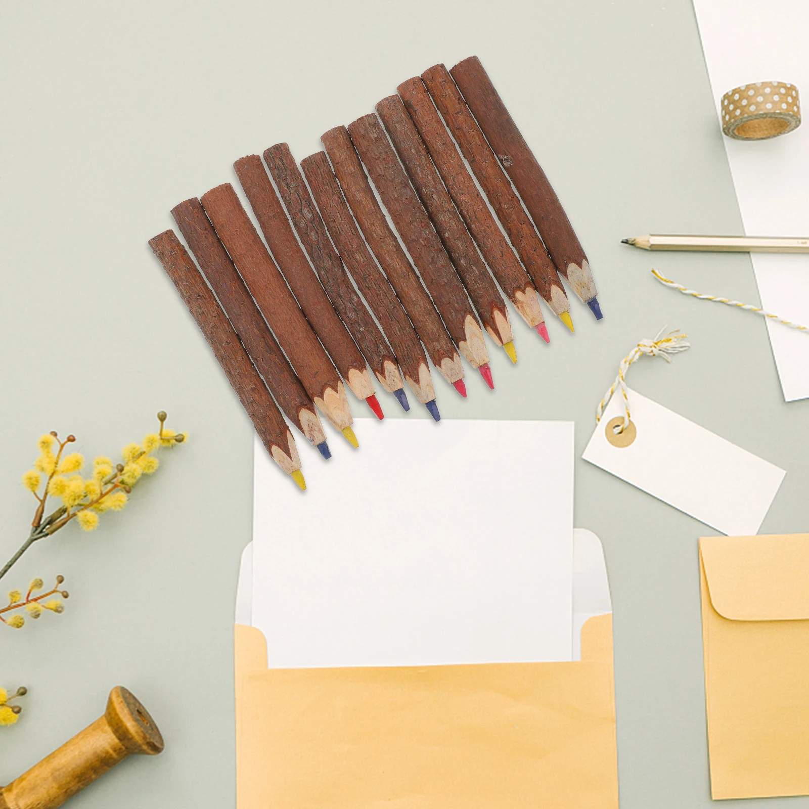 

12 Pcs Colored Pencils Safe Non Toxic Bark Artists Coloring Branch Tree Number Ideal Gift Creativity Children Brides Events