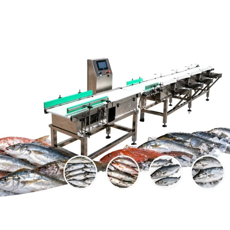Orange Avocado Blueberry Lemon Weight Sorter Fruit Grader Classifier Checker for Orchard Farm Food Processing Workshop