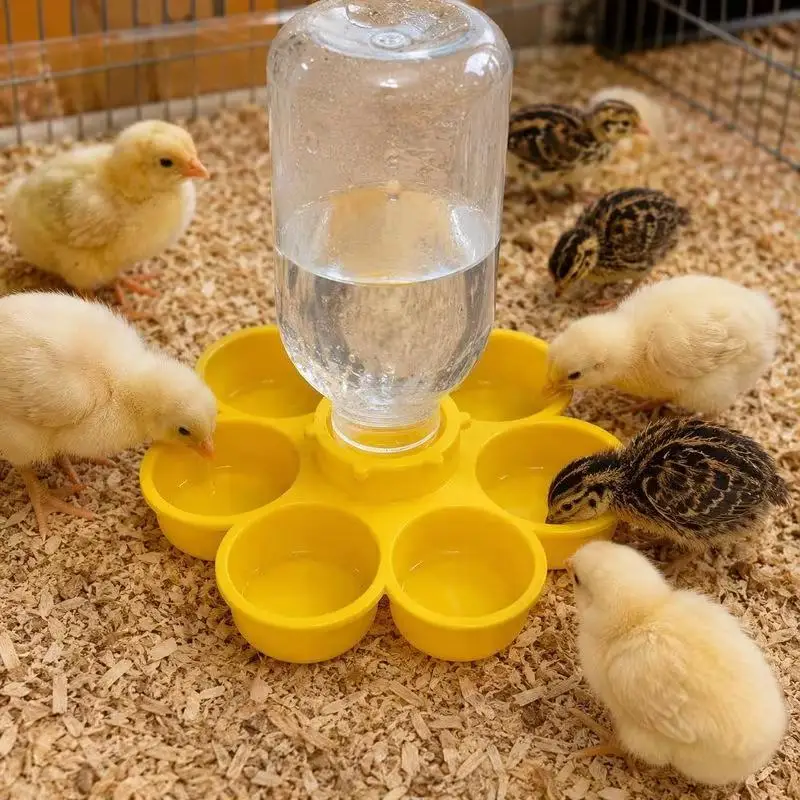 Anti Drowning Automatic Poultry Drinker 3D Printing High Quality Water Feeder for Chicks Ducklings Small Scale Poultry Raising