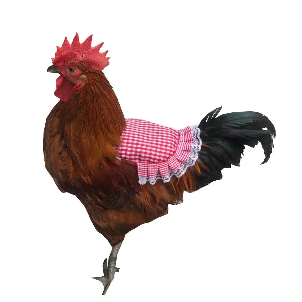 Practical Cloth Chicken Saddle Apron Soft Chicken Harness Vest Hen Back Jacket Adjustable Poultry Apron For Chicken Birds