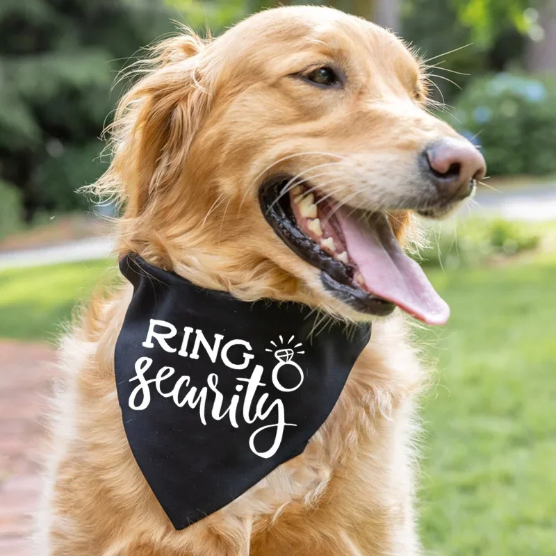 Ring Security Dog Puppy Bandana Wedding day Engagement Announcement marriage bridal shower Getting married outfit decoration