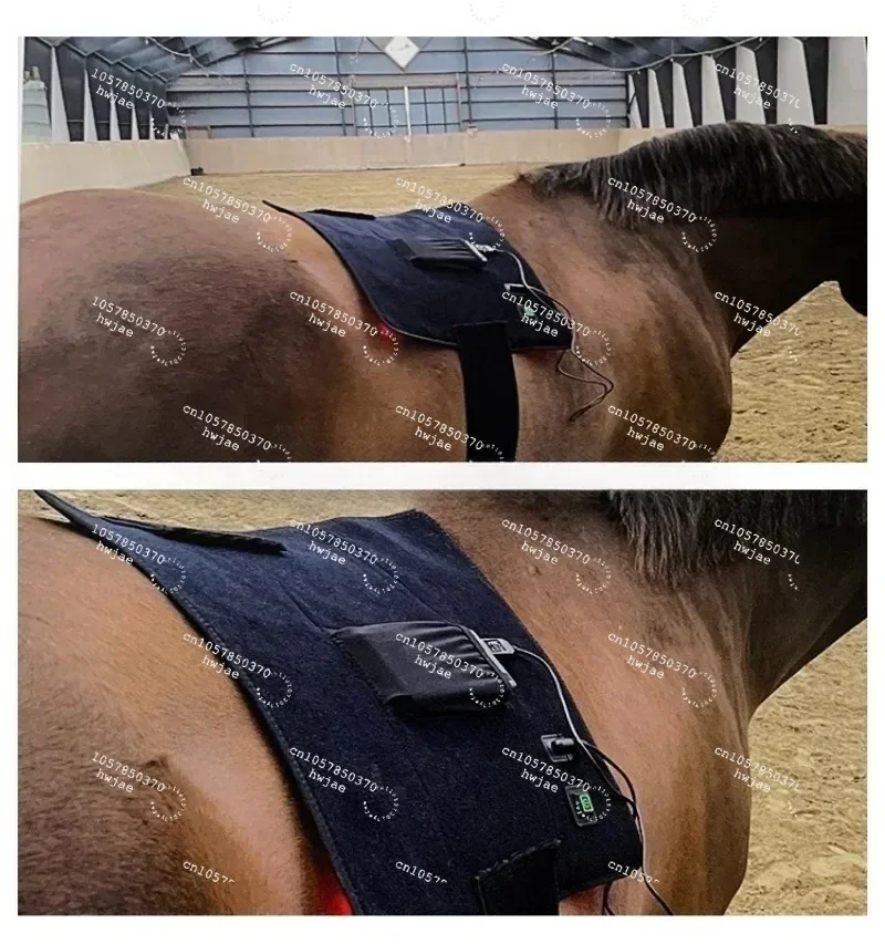 Equine Infrared Therapy Mat 660nm 850nm Red Light Therapy Pad for Pain Relief Muscle Recovery Fits All Pets