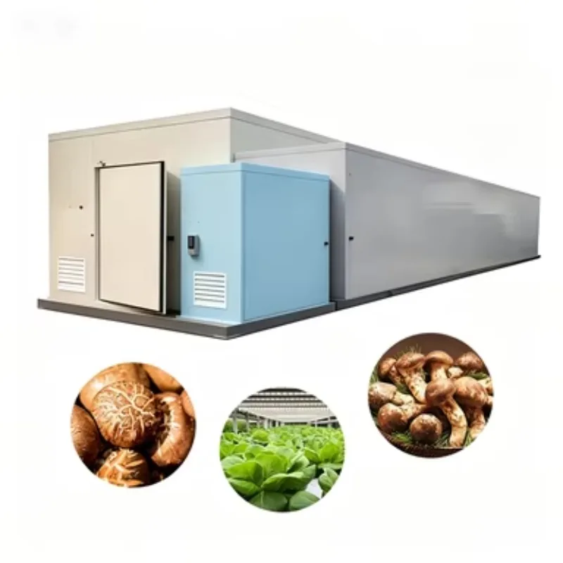 Fully Automatic Climate Control Mushroom Container Farm PE Material Grow Tent Cultivation Equipment Custom