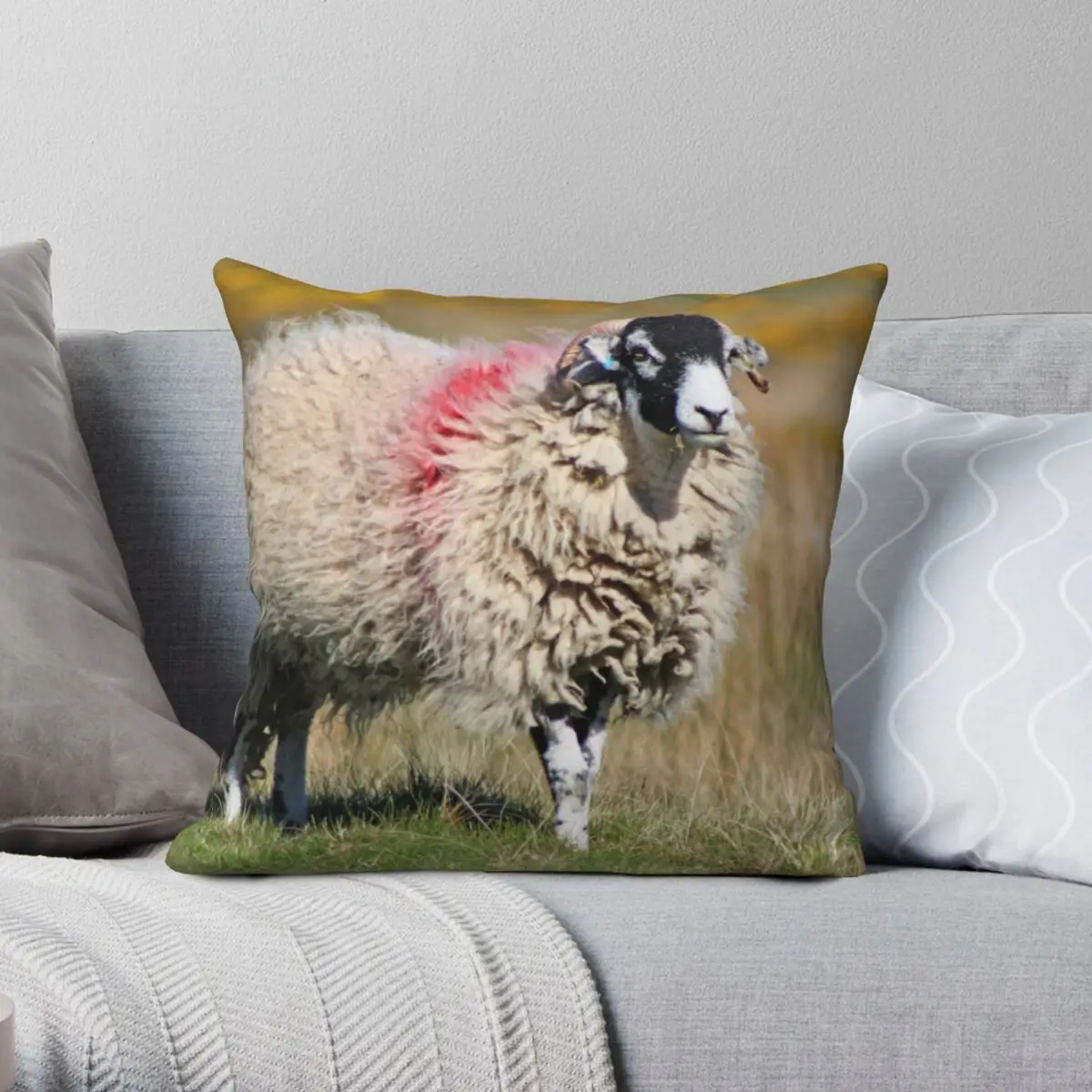 Swaledale Sheep On The Fells Pillowcase Polyester Linen Velvet Pattern Zip Decor Throw Pillow Case Car Cushion Cover