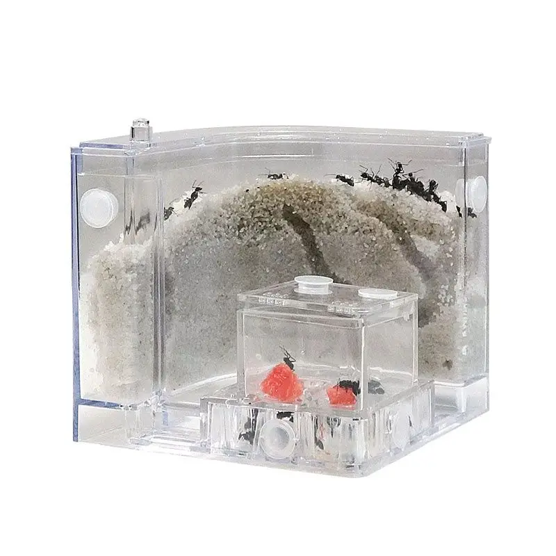 Ant Workshop Ecological Ant Nest, Castle Tribe Sandcastle Home Manor Farm, Keep All Kinds Of Pets Ant Live