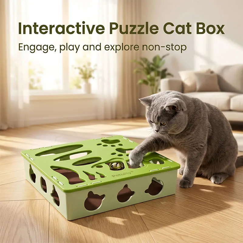 Multi-hole Maze Box Cat Toy with Bell Interactive Foraging Play Box Sandpaper Bottom Kitten Claw Grinding Toys Pets Supplies