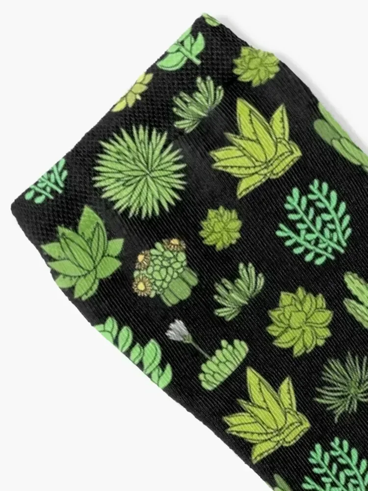 Tanaman sukulen dan kaktus. Untuk pecinta tanaman kaktus Kaus Kaki Lari Termal kaus kaki keren khusus musim dingin pria untuk Pria Wanita