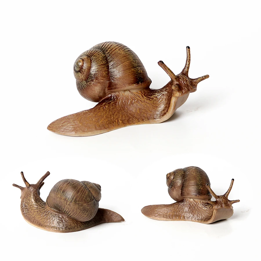 Realistic Life Cycle Of A Snail Model Figure Snail Figurine Party Favors Supplies Cake Toppers Desktop Decoration Collection Toy
