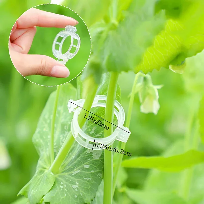 50/100/200/300pcs Clip Plant Clip Grape Tree Plastic Bracket Connection And Binding Clip Garden Tomato Hook Bracket Support Tool