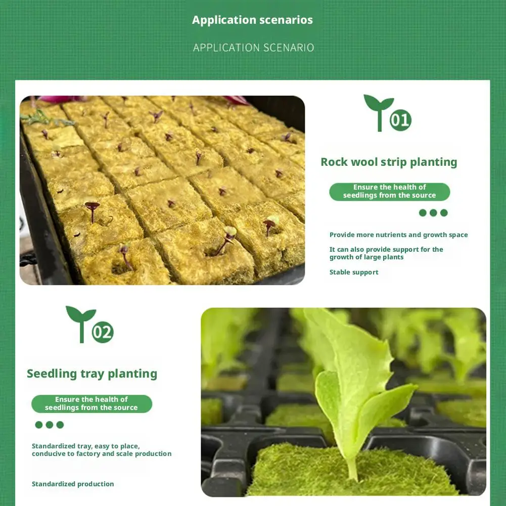 سطح مكعبات البذور الخضراء للإنبات الأمثل لإنبات البذور ونمو النباتات بدون تربة 2026 جديد #5