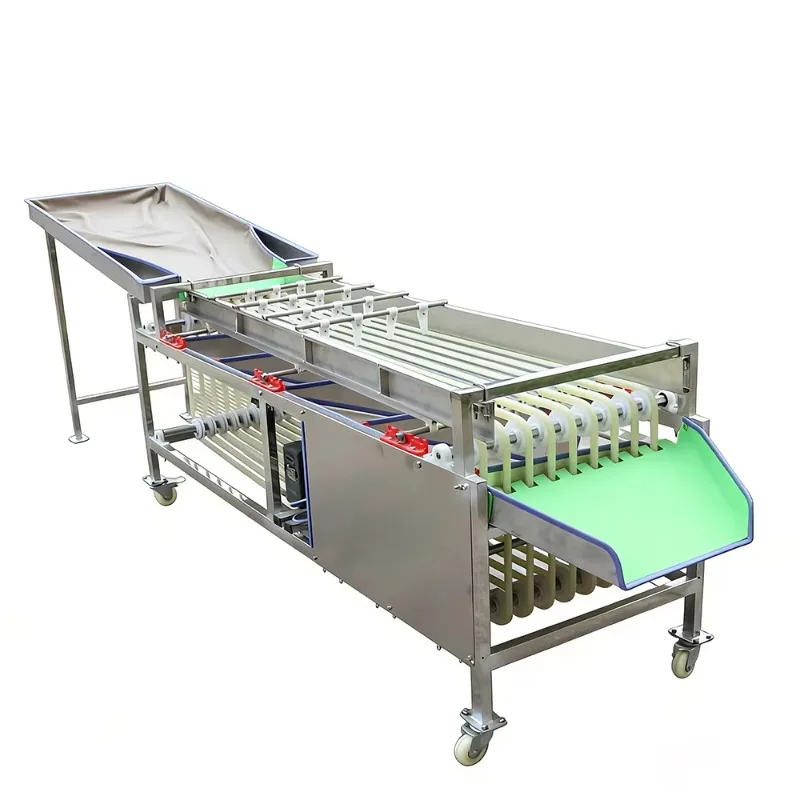 Multifunctional Potatoes Garlic Cherry Plum Dates Cashew Pineapple Sorter Sorting Grading Machine for Vegetable Fruit