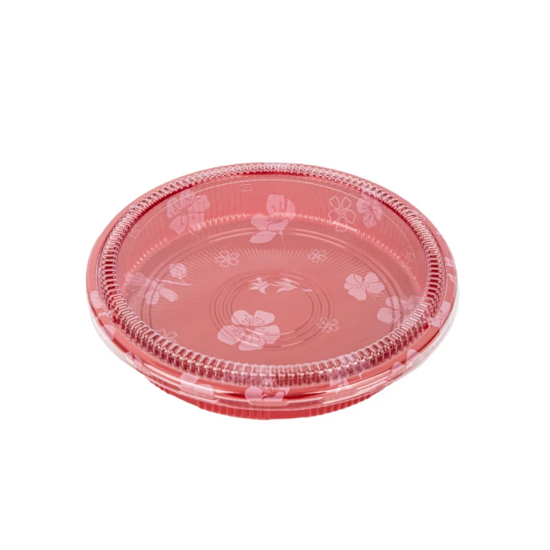 custom.LOKYO Customizable Plastic Tray Fast Food Japanese Serving Sushi Pizza Sandwich Cake Cookie-Blister Process
