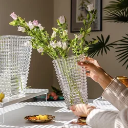 Nordic Creative Glass Vase Sense of Luxury Transparent Bud Vase Hydroponic Flowers Home Living Room Ins Decoration Ornaments