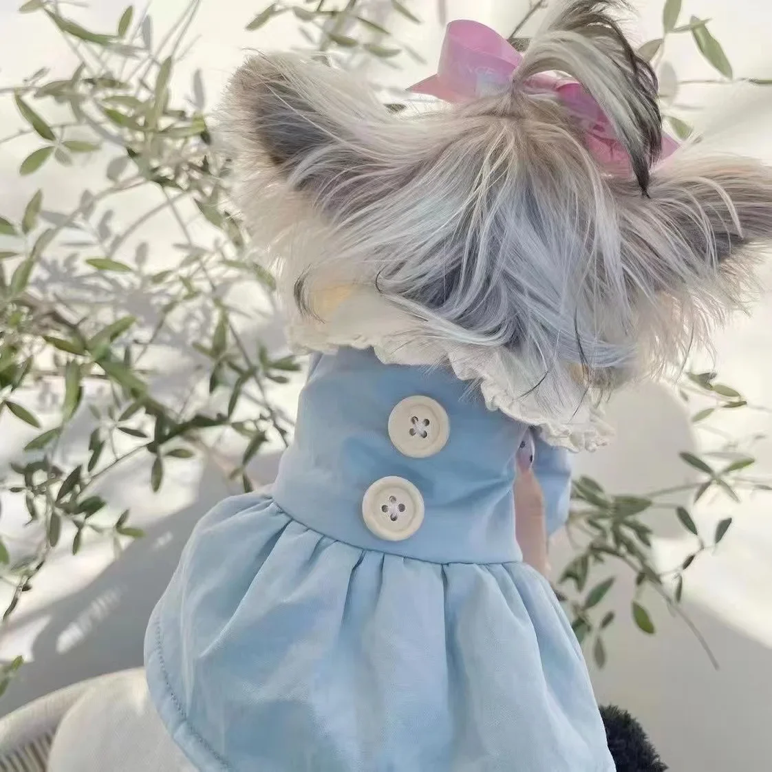 Ins Dog Cotton Coat Couple Coat Pet Autumn/Winter Skirt Schnauzer Maltese Small Medium Sized Dog Dog Jacket Puppy Clothes