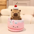 pink cake capybara x