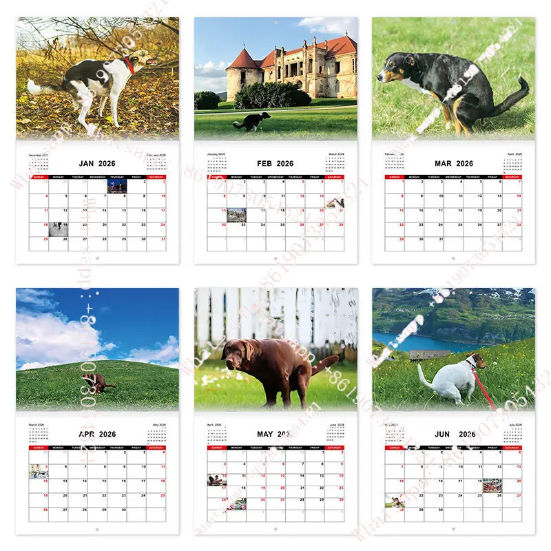 

2026CALENDAR Dog stool calendar, creative