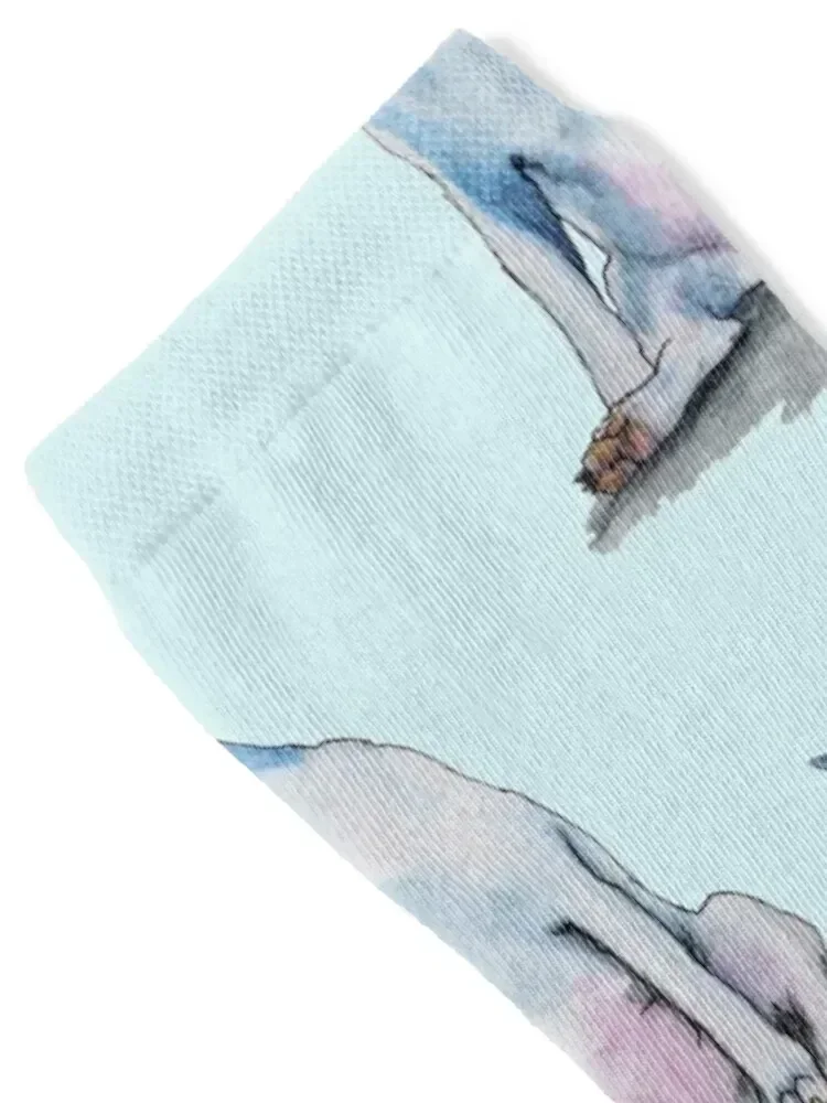 Bull Terrier Miss Ya Socks short sheer designer brand cool Woman Socks Men's