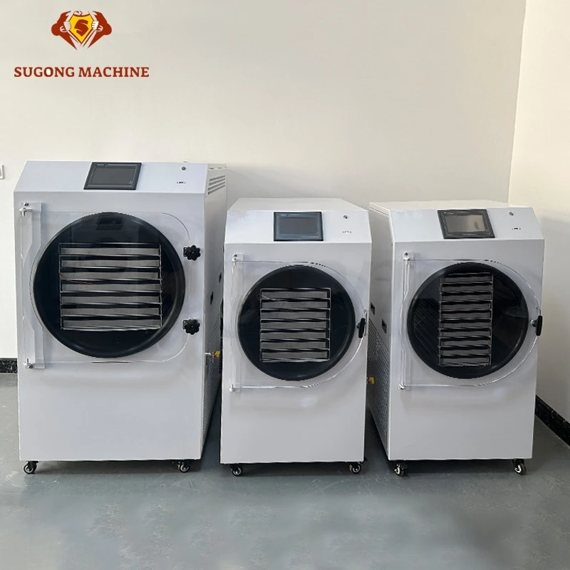 

Large Processing Capacity Pet Food Fruit Meat Candy Vacuum Lyophilizer Freeze Dryer Machine Laboratory 10 Trays