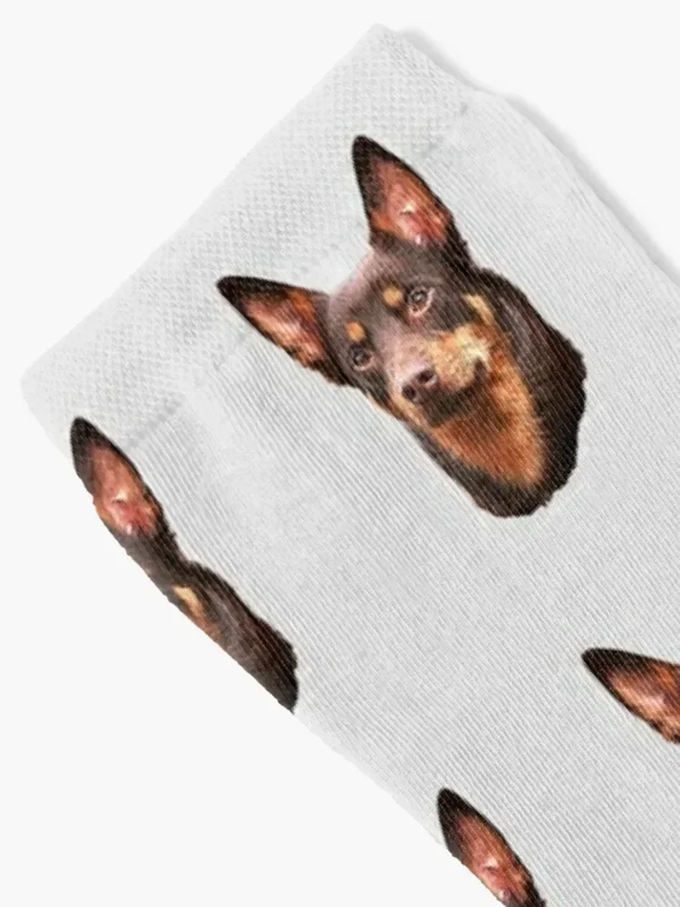 Kelpie - Australian Kelpie Socks sheer designer Socks Men's Women's