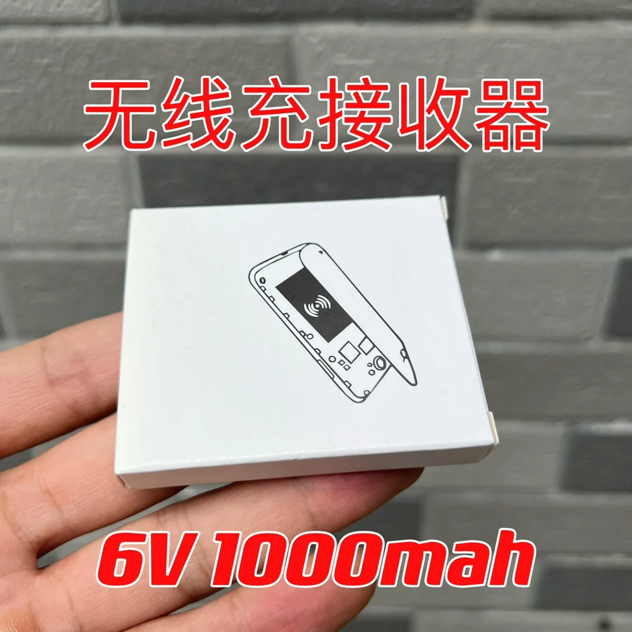 6v1000mah