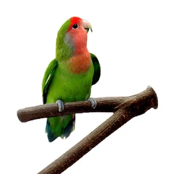 Pet Parakeet Budgie Hanging Play Toys Bird Cage Wood Branch Stand Perches Parrot Wooden Resk Holder Platform