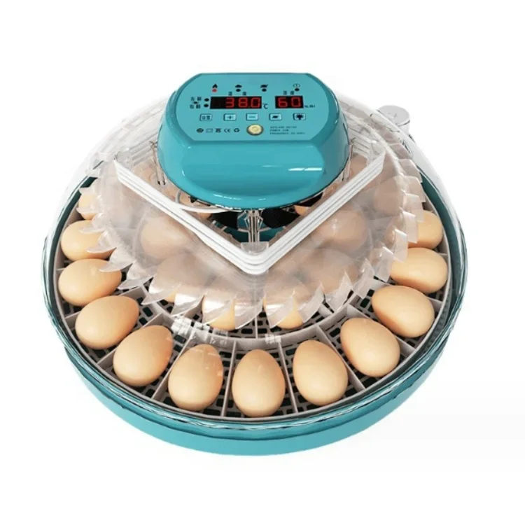 Newest Mini Incubator 30 Eggs Automatic Egg Incubator Dual Power