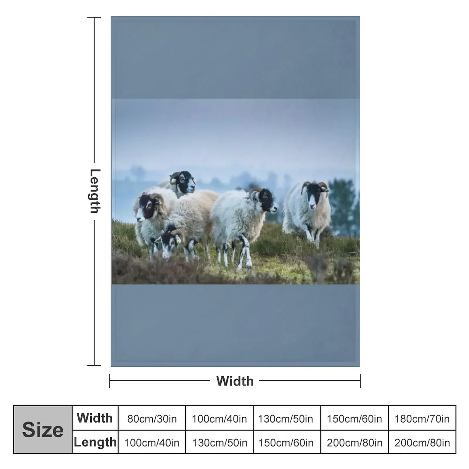 Swaledale Sheep on Stanton Moor Throw Blanket blankets and throws Designers Baby Hairys Blankets