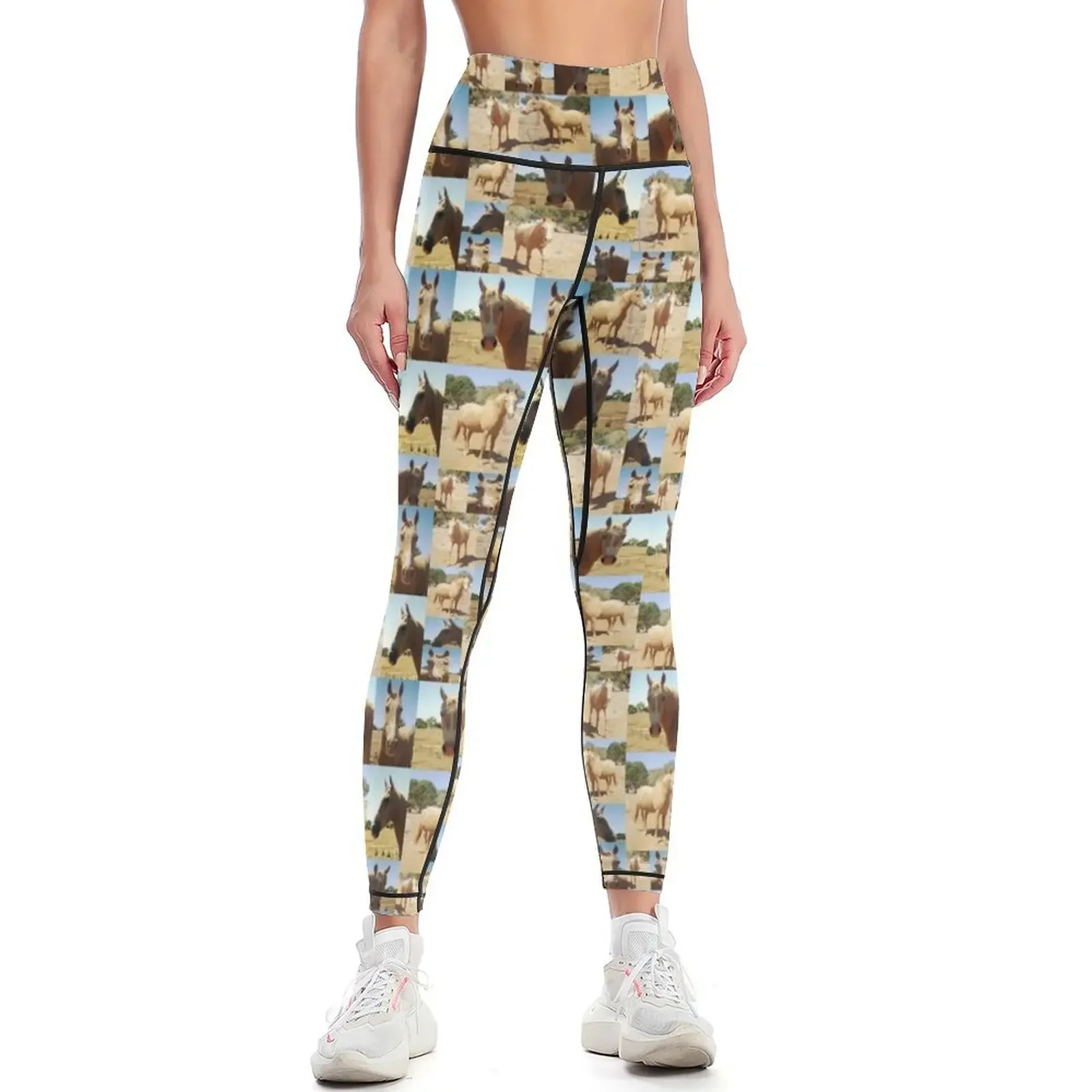 

Palomino Horses Picture Collarge, Leggings sport legging sportswear woman gym 2025 for fitness legging push up Womens Leggings