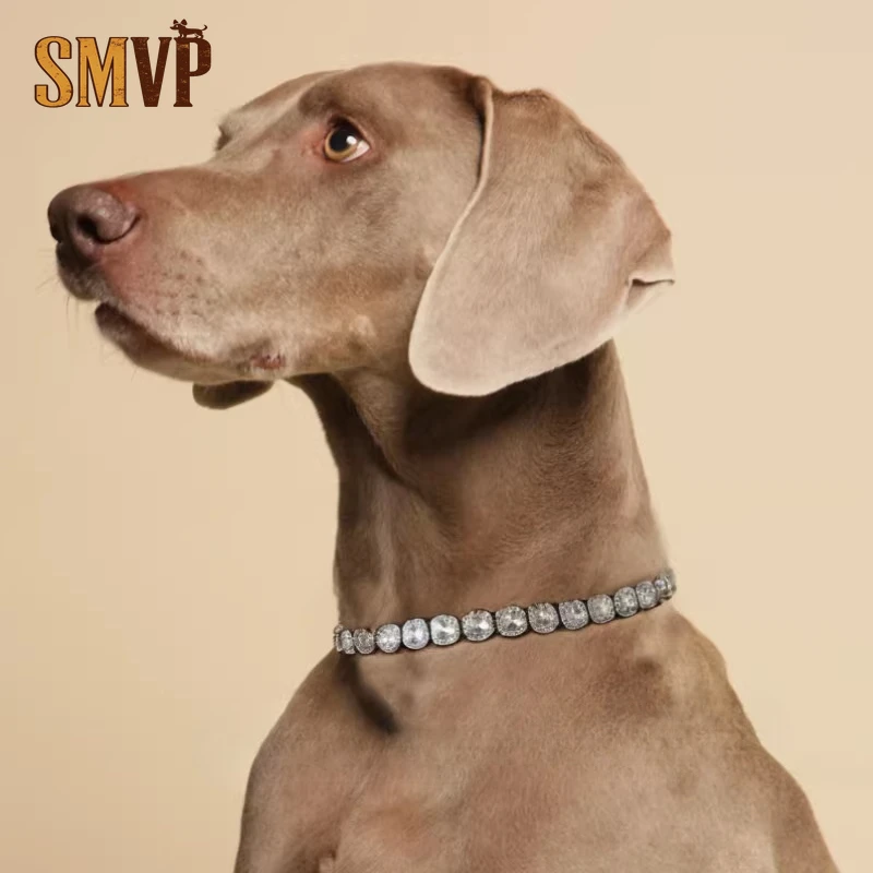 

Light Luxury Gold Silver Diamond Decorative Collar Pet Cat and Dog Decorative Necklace Suitable for Small Medium and Large Dogs