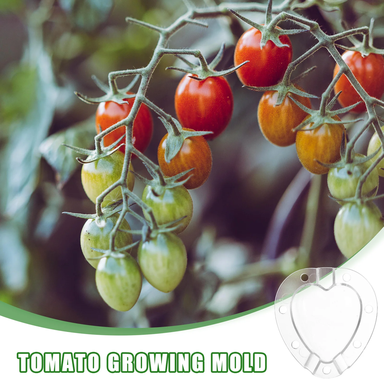 

2 Sets Shape Heart-Shaped Mold Fruit and Vegetable Tools Creative Tomato Molds Child