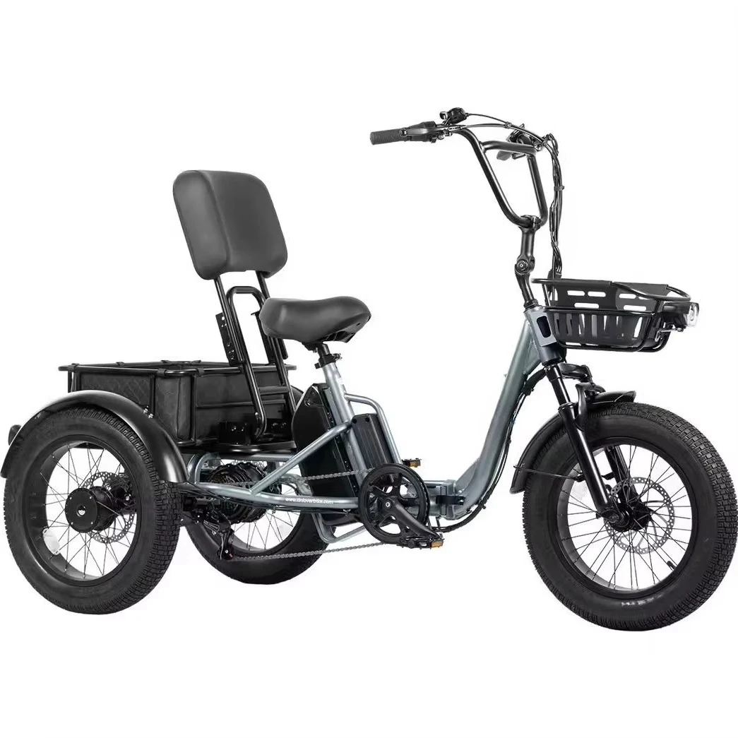 Pro 48V Motorized Electric Cargo Passenger Trike Open Body 2 Adults/Seniors 50-70km Range High Payload Capacity