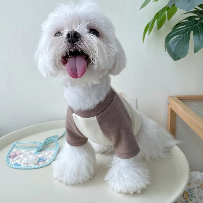 Korean High Collar Dog Clothes Colour Blocking Bottoming Shirt Pet Puppy Warm Clothes Teddy Winter Two Feet Clothes