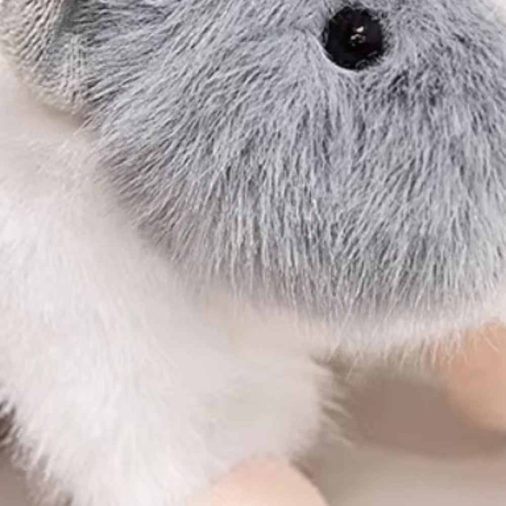 

Модная 15 см морская свинка мультфильм животное голландская свинья мышь имитация животного игрушка отличный подарок на день рождения