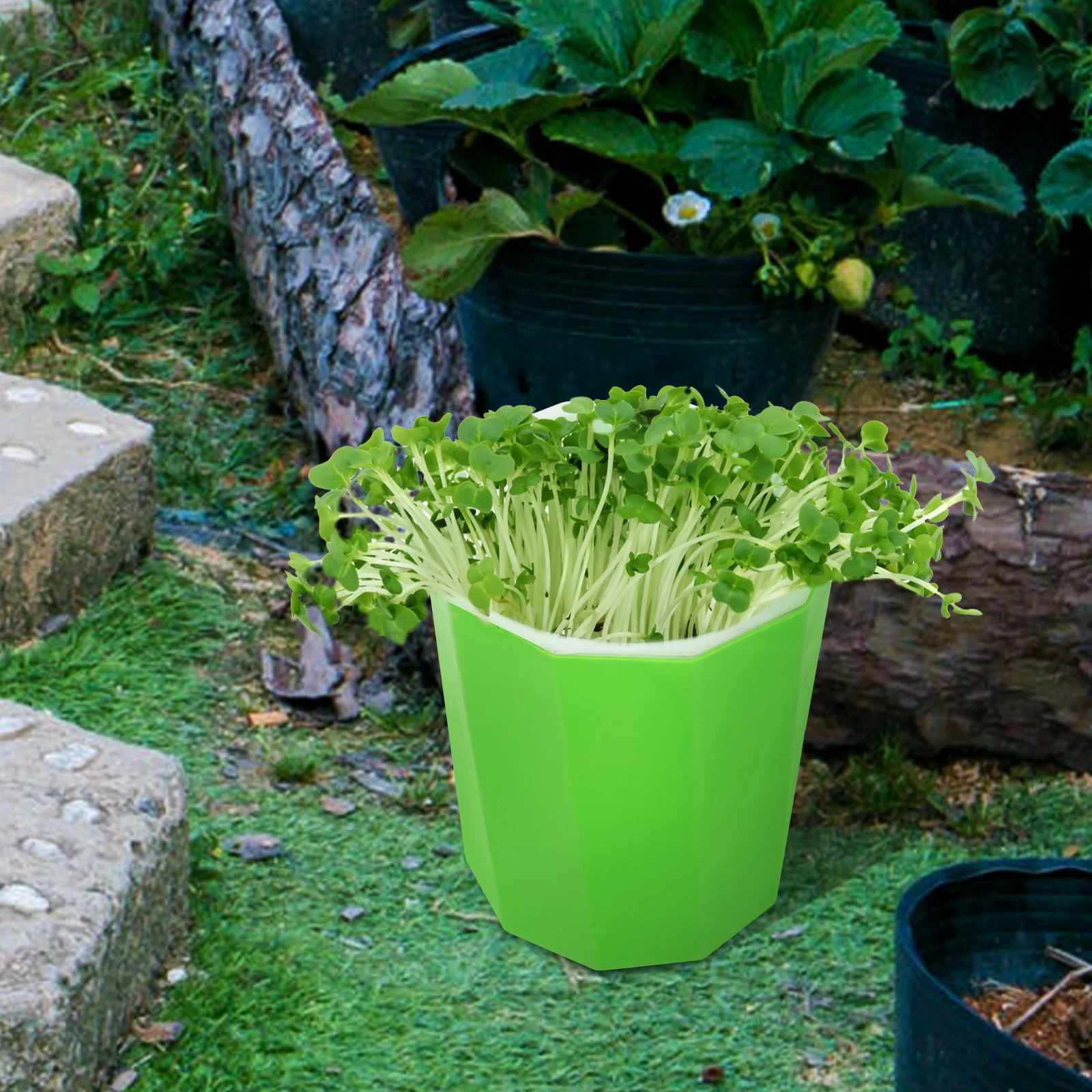 

Bean Sprout Planting Holder Plastic Germination Pot for Soybeans Mung Beans Red Beans Wheat Seeds Breathable Soilless