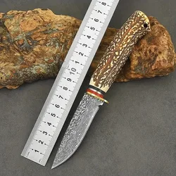 Outdoor Damascus Pattern Knife Sharp Stainless Steel Small Knife for Meat Cutting High Hardness with Bone-Imitation Handle