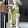 Green 4-leg