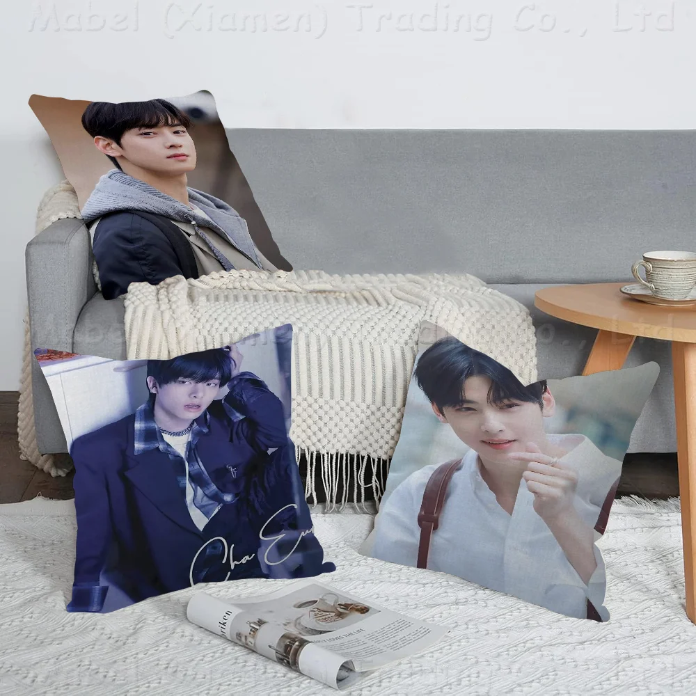 

Cha-EunWoo Decorative Room Aesthetics Pillow Case Home Decor Bedroom Sofa Bed Couch Pillow Cover 45x45