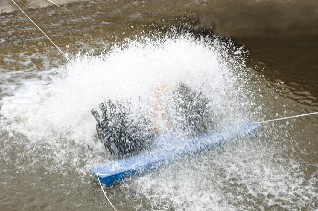 1HP عالية الكفاءة 2 المكره الكهربائية مجداف عجلة مهوية لبركة الأسماك