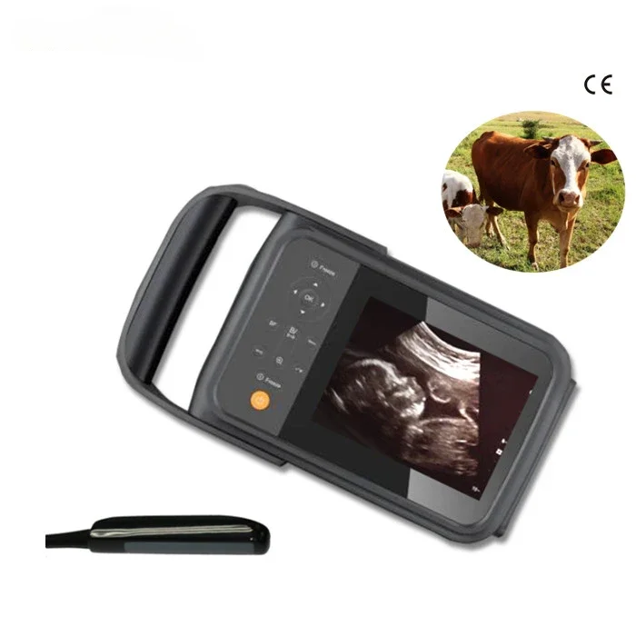 JM-807F Veterinary Portable B Ultrasound Equipment Animal Pregnancy