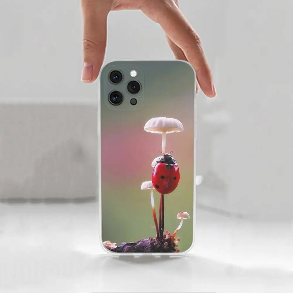 Funda de teléfono con forma de mariquita y insecto para iPhone 16,15,14,13,12,11 Plus,Pro,Max,XR,XS,X,7,8 Plus,SE,Mini, transparente, funda de silicona
