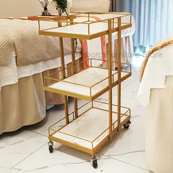 Auxiliary Cart Hairdresser Salon Delivery Trolly Beauty Barber Furniture Laboratory Trolley Esthetician Rollwagen Shopping Tray